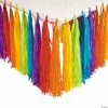 Budget 🧨 Rainbow Party Fringe Table 👗 Skirt 🤩